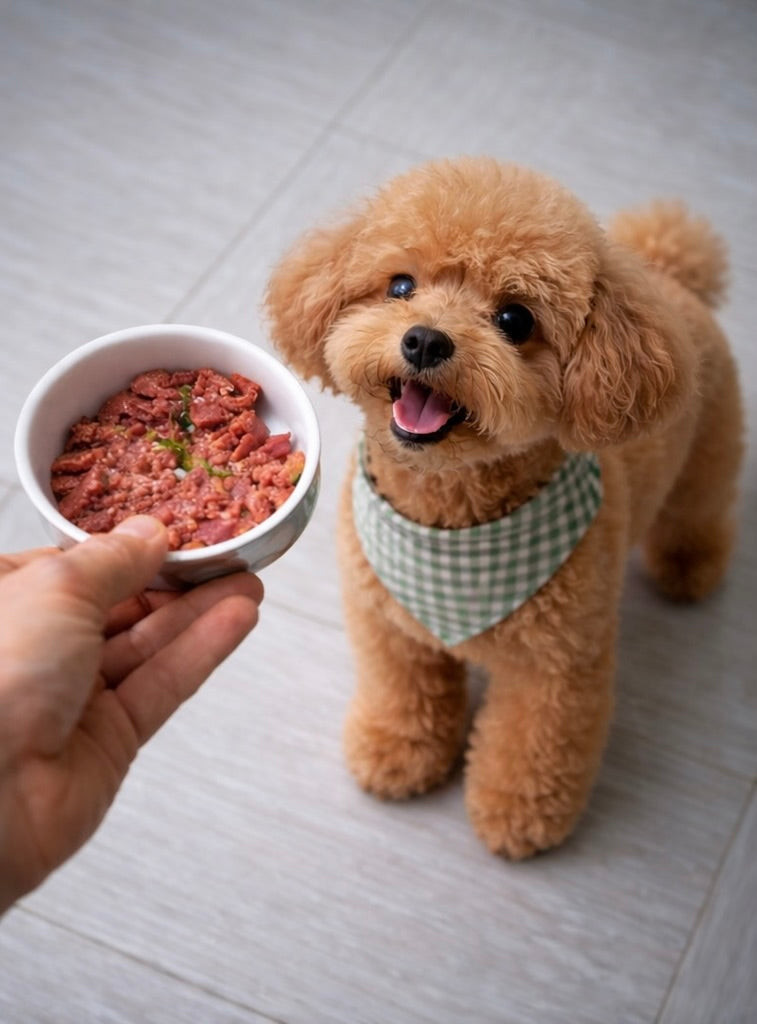 Dog Wet Food