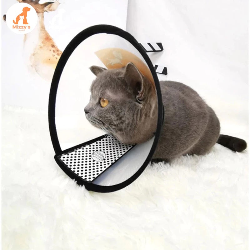 Pet collar 4 (4-8kg)