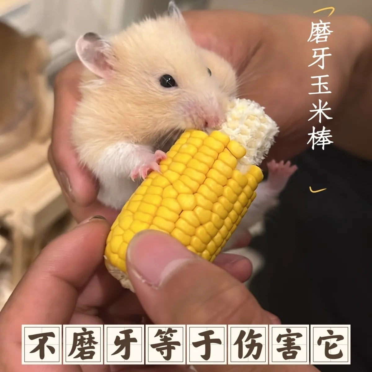 Hamster Stick