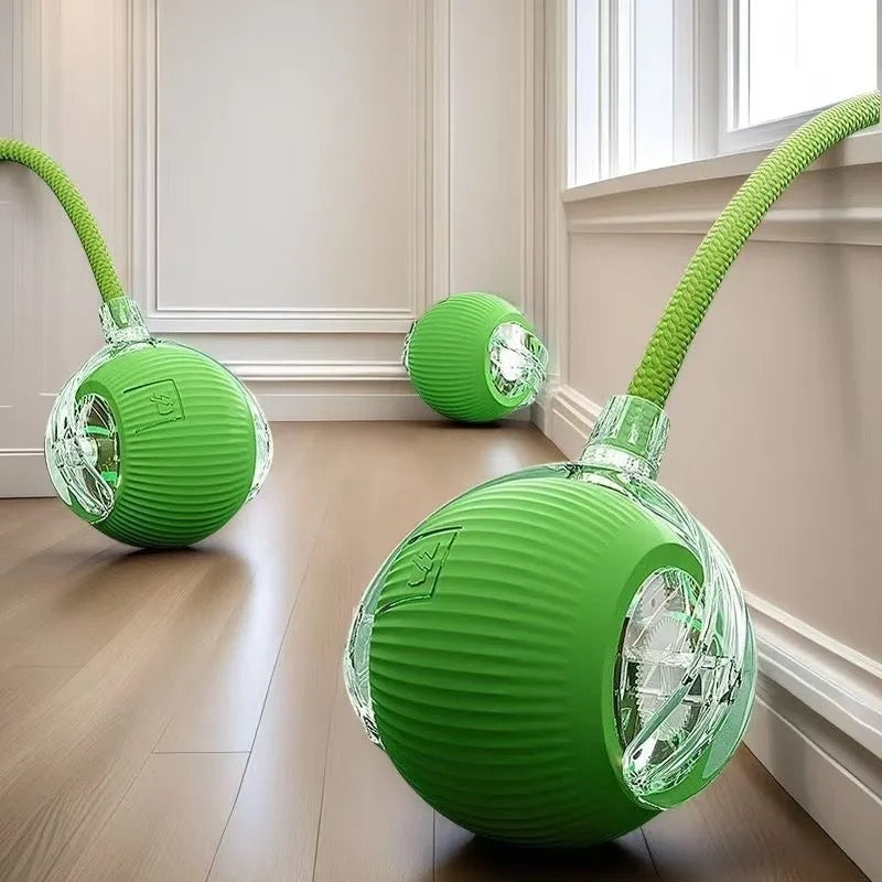 Automatic cat ball