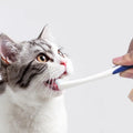 Pet small head toothbrush