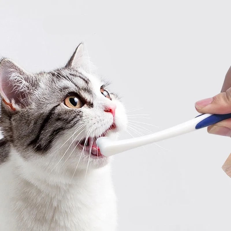Pet small head toothbrush