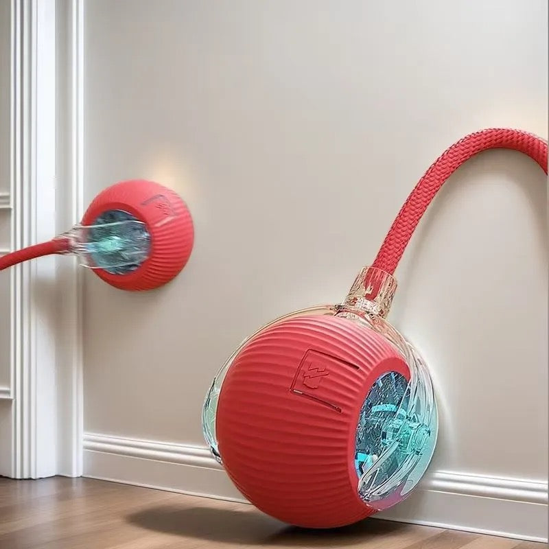 Automatic cat ball