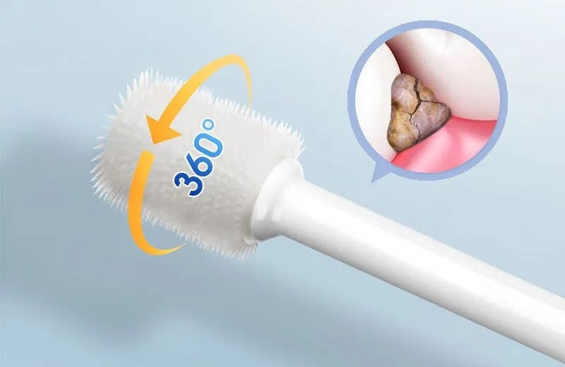 KOJIMA Tooth Brush 360